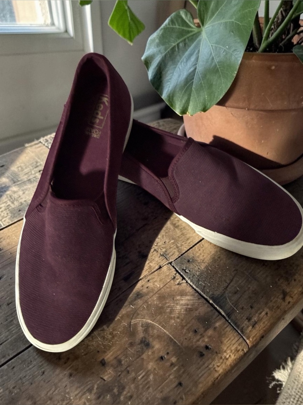 Keds Women's Slip-On Sneakers in Burgundy